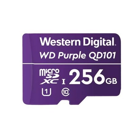 Western Digital WDD256 - Carte mémoire flash 256 Go